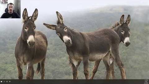 Tech Tip 7: How to Resize the Windows 10 Taskbar