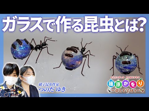衝撃 本物 ガラスの昆虫 Youtube
