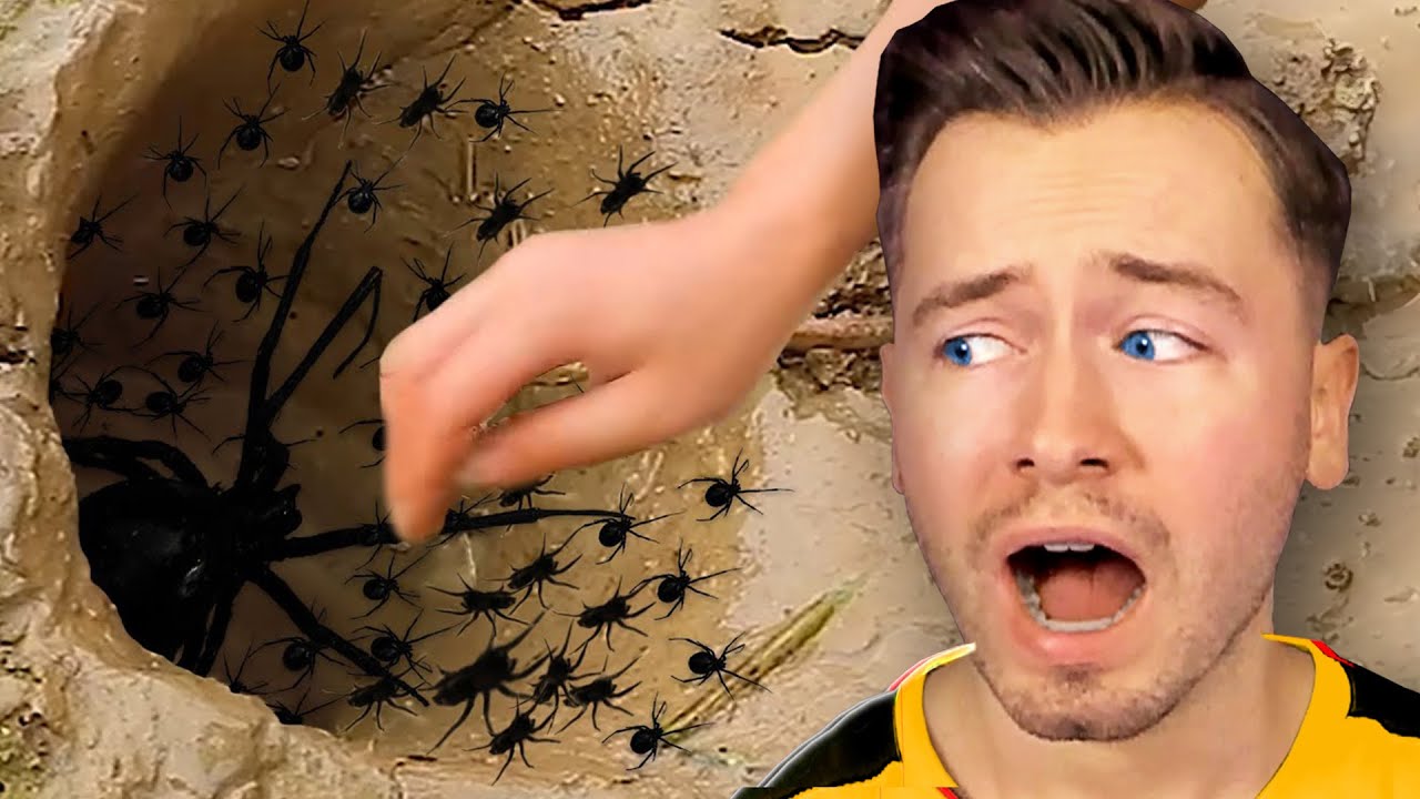 ER hätte NICHT in die SPINNENHÖHLE greifen sollen...💀🕷️