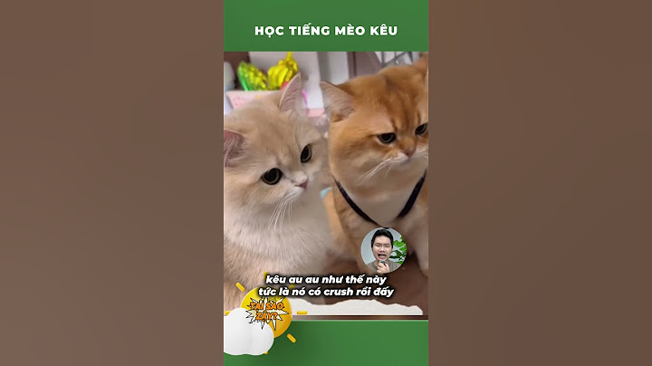 Học tiếng mèo kêu