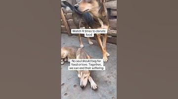 For any support, please click the link in our bio. Every pledge means the world to us. Links in bio