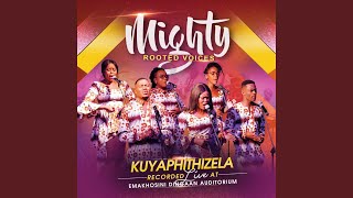 Udumo Lukufanele (Live)