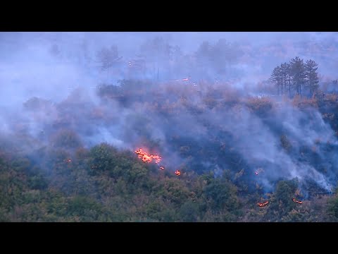 წყნეთში, კაკლების დასახლებაში ხანძარი ლოკალიზებულია
