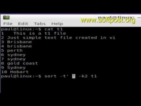 How to sort file based on specific column in BASH shell terminal