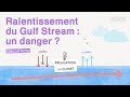 Ralentissement du gulf stream un danger  dcodactu  lumni