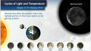 Waxing Phases of the Moon