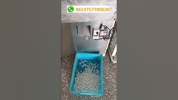 Automatic Cable Electrical Wire End Caps Connector Assembly Machine, Capacity 200-300pcs/Min