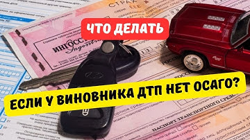 Thumbnail of Что делать, если у виновника ДТП нет ОСАГО?