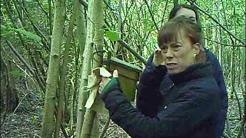 Wildlife camera traps