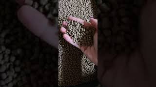 Fishing pellets #shorts #pellets