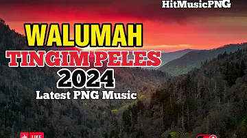 WALUMAH - TINGIM PELES || LATEST PNG MUSIC 2024