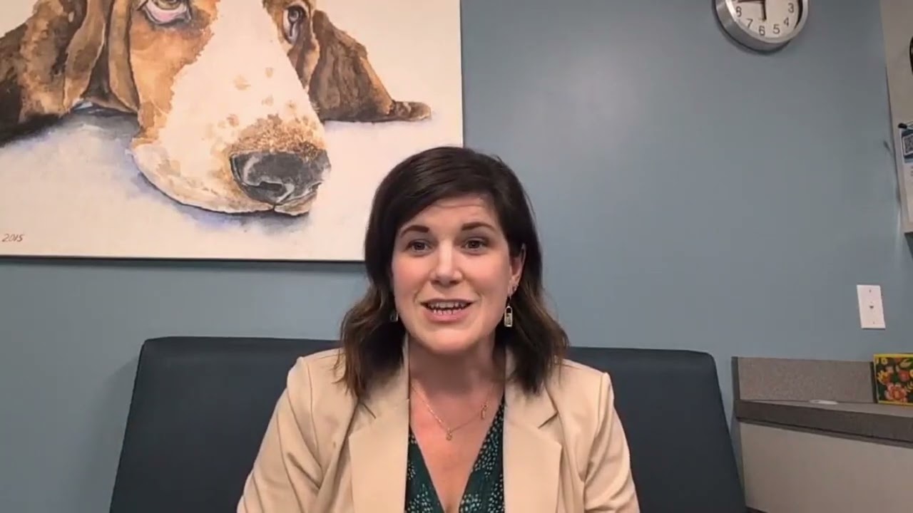 Wellness plan introductory video