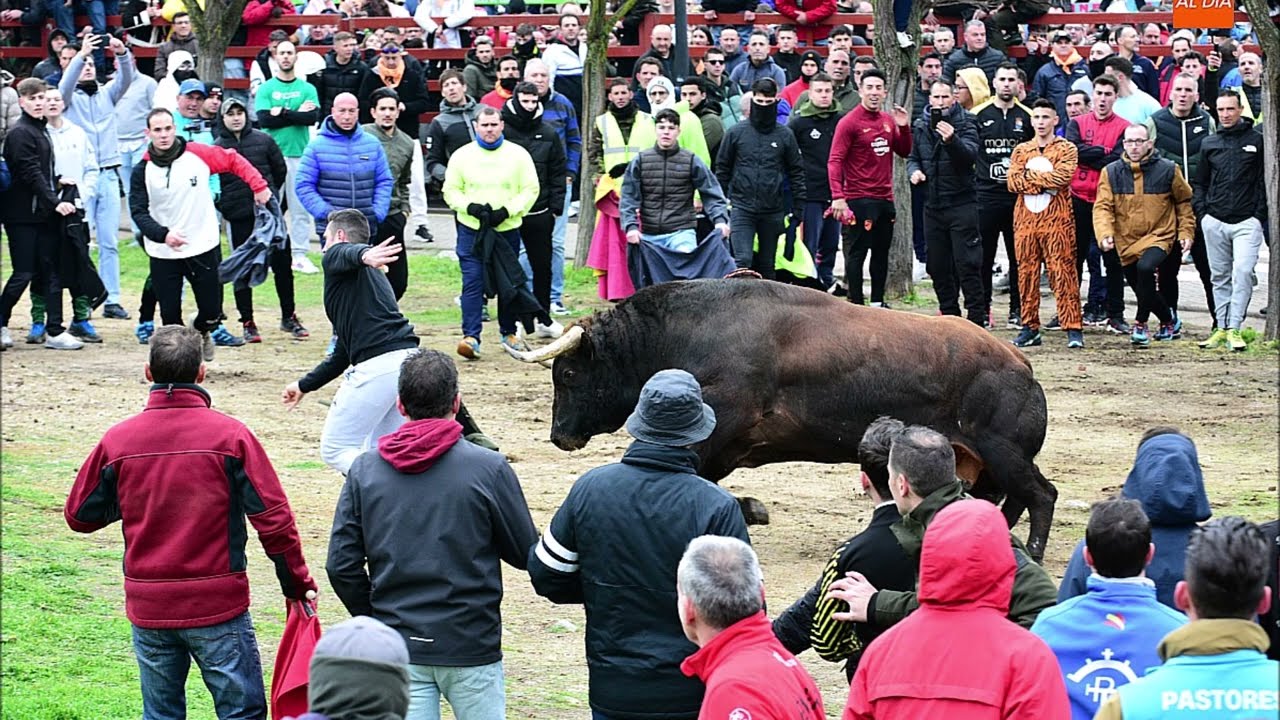 CARNAVAL DEL TORO 2025 CIUDAD RODRIO EN FOTOS