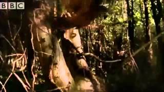 Birdcam (Slapshock - Agent Orange Remix)