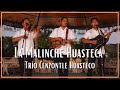 Trío Cenzontle Huasteco - La Malinche Huasteca