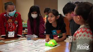 Bee Bots are creating a buzz