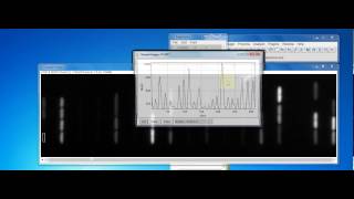 Mother Machine Multimeasure Demo