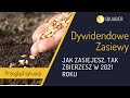 Jak zasiejesz, taką dywidendę zbierzesz w 2021 roku