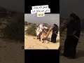 كوميدي مقلب ضحكه مقاطع مضحكه اضحك من قلبك ضحك خليجيات