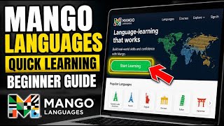 How to use Mango Languages for Quick Learning - Beginner Guide