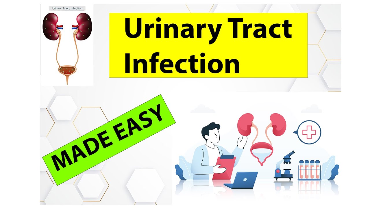 UTI (Urinary Tract Infection) - Explained Easily