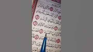 ارح قلبك بذكر الله سورة الفجر بصوت القارئ ماهر المعيقلي #القرآن_الكريم #اكسبلور #المصحف 🪴🕊🪴🌸🕊🪴