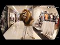 Most Viral Sora 2 Animal Video's