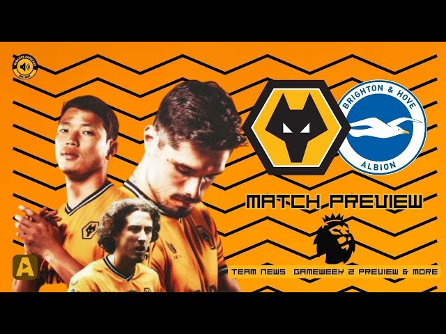 Wolves Brighton Match Preview ☆ Revolution of Wolves 🔌