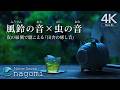 【睡眠導入/ASMR】懐かしい田舎の癒し音「風鈴の音・虫の音」|睡眠・癒し・リラックス|眠れる自然音ASMR