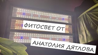Фитосвет от Анатолия Дятлова - Меняю все светильни на улучшенные в домашнем фитофильтре
