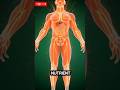 "What happens inside your Body when you consume Coca-Cola Medicialy revealed"