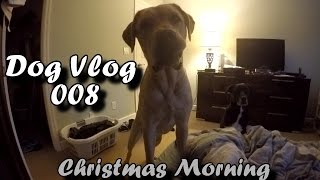 A Dog Christmas! by Sam Gosiewski 8,266 views 8 years ago 4 minutes, 22 seconds