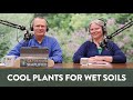 Cool plants for wet soils and celebrating meteorological spring  78