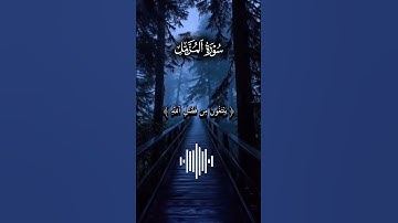 اواخر سورة المزمل قران بصوت عبدالله احمد شعبان تلاوه خاشعه جميله #القرآن_الكريم #إنه_لقرآن_كريم