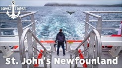 1 DAY IN St. JOHN'S NEWFOUNDLAND CANADA - Whale Watching & Signal Hill | Barbster360 Travel Vlog