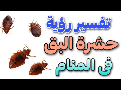 تفسير رؤية حشرة البق فى المنام لابن سيرين