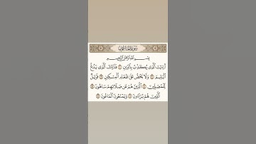 قرآن كريم راحه نفسيه وسعاده لا توصف سورة الماعون