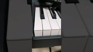 Кошка и классика 🐈🎹