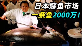 日本“赌鱼”市场，一条鱼卖2000万，切开才知输赢