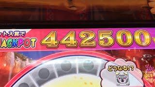 [メダルゲーム]カラコロッタ4 JPC集part8
