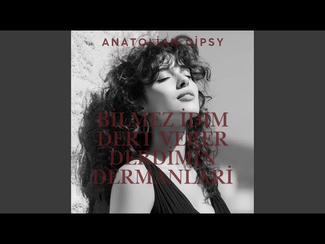 Bilmez İdim Dert Verer Derdimin Dermanlari