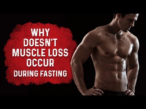 Why Doesn’t Muscle Loss Occur During Fasting?