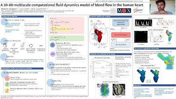 USNCCM16 - "A 3D-0D multiscale computational fluid dynamics model of blood flow in the human heart"