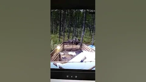 А поросенок почему-то в весе терял..)