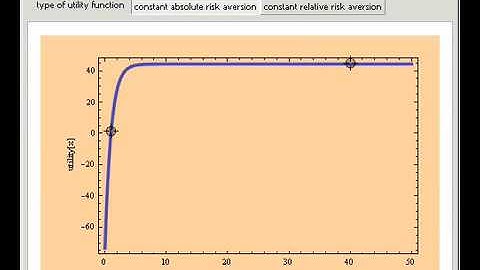 Constant Risk Aversion Utility Functions