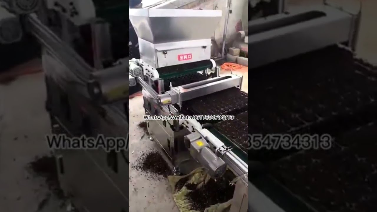 Brussels Sprouts Seed Planter Automatic Seedling Raising Machine