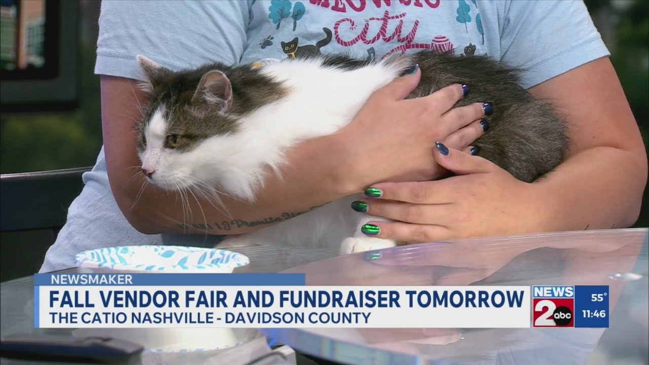Newsmaker: The Catio Nashville fall vendor fair - YouTube