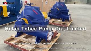 Andman® Split Case Centrifugal Pumps