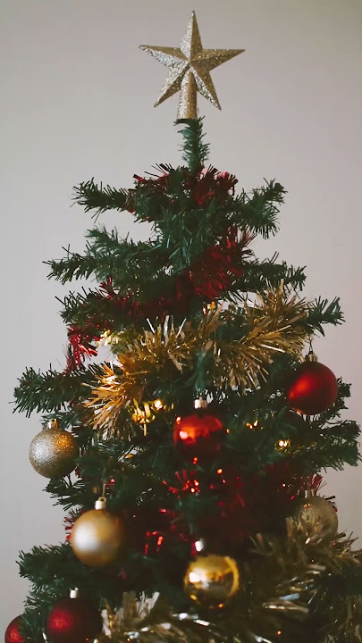 Traditional  Christmas Music | Instrumental Christmas Music