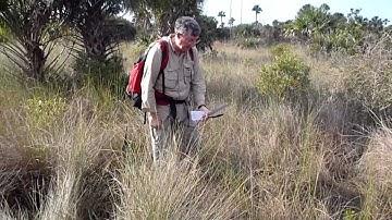 Mapless-Land-Navigation.mp4